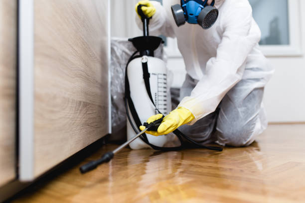 Flea Control Services in Kingsford, MI