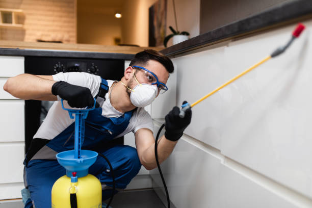 Best Affordable Pest Control Services  in Kingsford, MI