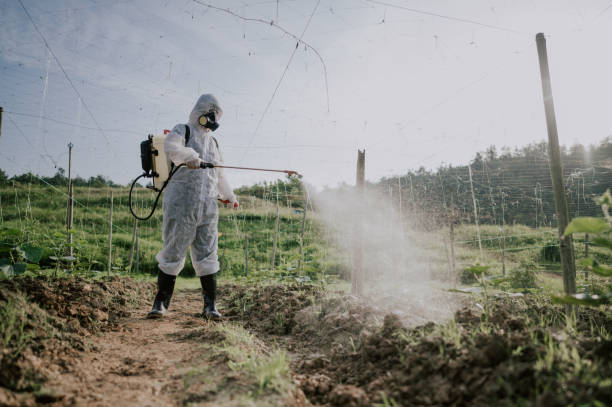 Best Pest Prevention Services  in Kingsford, MI