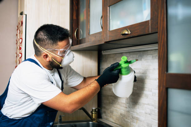 Reliable Kingsford, MI Pest Control Solutions