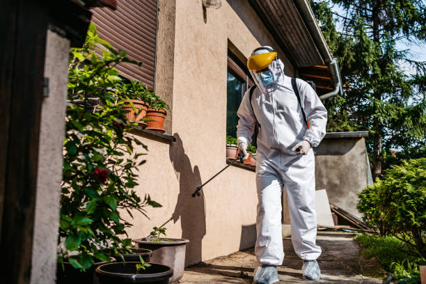 Best Flea Control Services  in Kingsford, MI