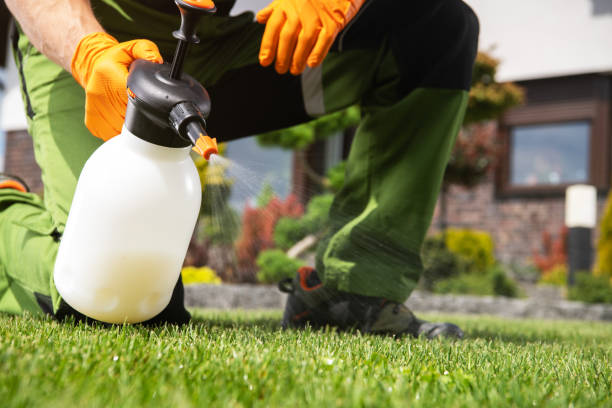 Best Termite Control Services  in Kingsford, MI