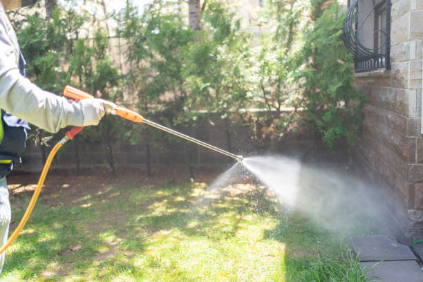 Best Pest Control for Businesses  in Kingsford, MI