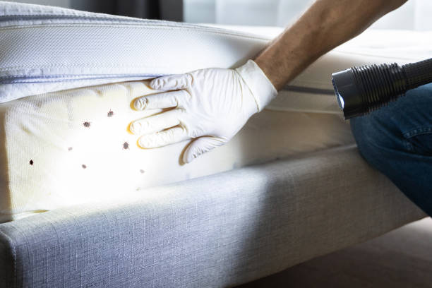 Best Commercial Pest Control Services  in Kingsford, MI