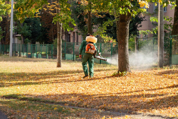 Best Pest Removal Services  in Kingsford, MI