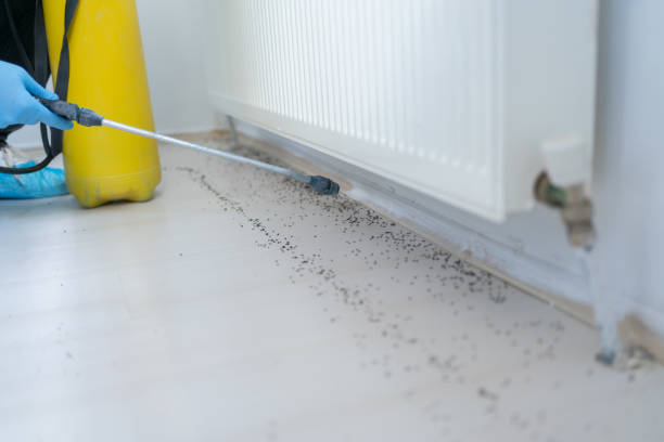 Best Pest Removal Services  in Kingsford, MI
